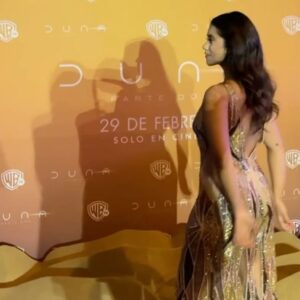 Renata Vaca Instagram - Soñada @dunemovie 

—————————————————

Gracias @steponfashion @alan.lc_ 💘
@zapateriasmexico ✨
@mariaximenavestidos 🧚🏼‍♂️
@liriajewels 🪽
@pureandb 💕
@asgardh 💎