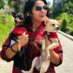 Renjini Kunju Instagram - “Christmas cheer is better with a purr and a wag.” 📷 @shadnsha #christmas #pawfamily #christamasholidays
