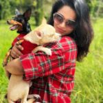 Renjini Kunju Instagram - “Christmas cheer is better with a purr and a wag.” 📷 @shadnsha #christmas #pawfamily #christamasholidays