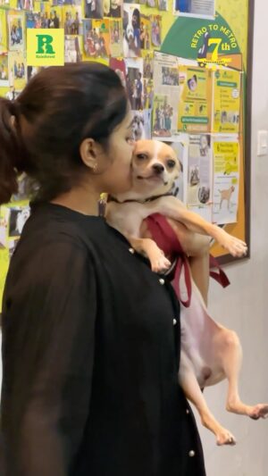 Renjini Kunju Instagram - 2  years of caring & trust for my boys -baalu & appukttan 

our branding partners @tonicocafe @rainforestkochi @joscojewellers @clubw_access