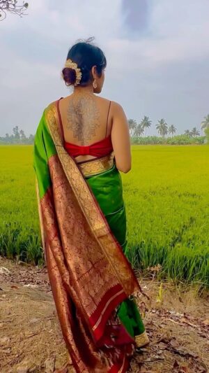 Reshma Nair Instagram - When the paddy fields sway, I bow my head 💚♥️✨

#kerala #godsowncountry #keralagram #paddyfields #paradiseonearth #kuttanad #alappuzha #brocadesaree #tattoogirls #green #glassbangles #ethnic #desi #peaceful