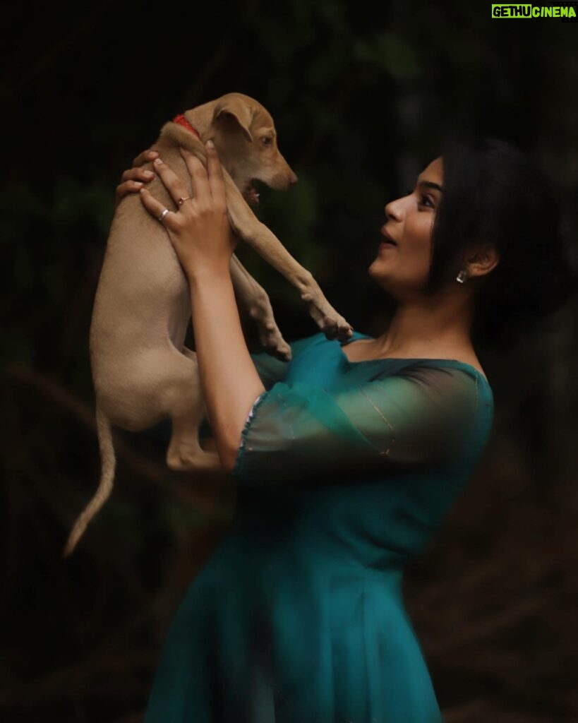Reshma Venkatesh Instagram - 🐬 @sat_narain @studio_sushma @colours.and.curls @arunprajeethm
