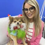 Rhian Sugden Instagram - Highlight of my day! Getting caught up in a chihuahua beauty pageant on @packedlunchc4 🎄🐾 Thanks for having me. (No, I wasn’t part of the parade, upsettingly) 😏 x