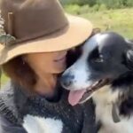 Rhona Mitra Instagram - We did it 💪🏾 Takes a small and wonderful Army but the boys are booked on their flights and heading south! Truly, with all the horrors going on around the world right now, to those who have helped set Ludo and Aubie free so they can live a life they deserve, we thank you. There ARE Angels and beautiful humans out there. Thank you for showing up. The attempted legal injunction failed as of today so these boys were definitely on the chopping block as will be tens of thousands others who are not even XL Bully’s. We still have a way to go. There are crates, trucks, vet checks, planes, boats and customs to all contend with but by early January those boys will be living the dream. Dog runs are being built and houses also. Their aftercare including castrations and food (big lads) we can always do with help with. (Link in bio 😚) Please follow their journey and know you’re part of our Orphanage wherever you are. And for those who are pro this ban you can shove it right where sun clearly doesn’t shine 🖕🏾 @thelastarkorphanage #whatwedotoanimalswedotoourselves #savethebullies