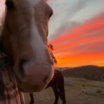 Rhona Mitra Instagram - My flux capacitors 💡 Sanity Sanctity Sanctuary #Equinealchemy #SuperiorBeings #rescuerewildrememberrehabilitate @thelastarkorphanage