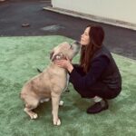 Rhona Mitra Instagram - Sometimes words just fail me… The result of today’s visit to meet these perfect creatures with the incredible dog wardens of Coventry was shattering. And what I saw was only I tiny glimpse of the greater discard and massacre that is about to take place from Jan 1st 2024 onwards. I am in absolutely no position to be taking any of these dogs but simply can’t leave them all behind. As a result we tentatively did a personality test on two young XL males that I could possibly/hopefully fly back to the sanctuary before the 31st. But it would be by skin of teeth. With the help of a few people we are working behind the scene with microchips and vaccines and shipping logistics. On with customs at every boarder to see how we can get these beautiful boys down to the farm where they can live a life they deserve. Unmuzzled, off-leash, In nature, free to be dogs. This is going to depend on many factors but the ball is rolling. Come Dec 31st if these boys and thousands like them are not taken out the country as we are doing their fate is a life permanently on leash and muzzled with the branding of a criminal or straight up execution. January 1st will be a bloodbath across England. I hope you’re proud @rishisunakmp you spineless gimp of a human. Enforce a ban on the breeding of ignoramus’ like yourself and the country and its far greater underlying issues of systemic neglect, betrayal and abuse and its myriad symptoms might be resolved. This temporary moment of flexing will only backfire as you only give permission to more vitriol, pain and polarization. Nice work. 💪🏾 Anyone wanting to help and support us getting these baby boys out and off to a good start at a proper life, you can through @thelastarkorphanage link in bio. We need all the help we can get to get this done. Let’s get these boys out so they can be the poster kids for their kind. Come on team Human, let’s do a good thing 🩶 Link to help in Bio #ForTheLoveOfBullies #XLBully