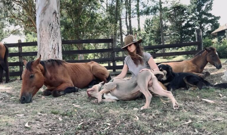 Rhona Mitra Instagram - Ludo clearly already wreaking havoc and raising Hell…. 😏 Due to the confusion, hysteria and abundant misinformation out there regarding this dystopian nightmare of a ban, I’ll be doing a Live tomorrow Sunday 7th at 3pm GMT with one of the co-founders of @uk_dog_protection_team to cover the landscape and implications of the XL ‘TYPE’ ban that went into effect as of Jan 1. We will discuss the ramifications on dogs and ALL UK dog owners. And cover the facts the media are deliberately leaving out of their limited coverage and how best to navigate if you feel your dog comes under threat of being seized and potentially terminated. What it means to be the guardian of any kind of breed of dog but especially these larger kids. Please post any questions below first so we can hopefully cover any major ones. Back to ‘training’ for us so see you here tomorrow or if you cant make it will be reposting 🐾 @uk_dog_protection_team @thelastarkorphanage