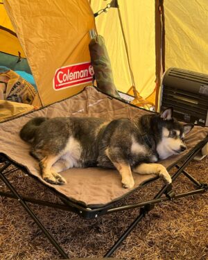 Riho Nakamura Instagram - 🏕️