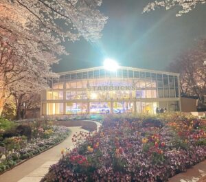 Rikako Aida Instagram - ここのサウナがとても良かった🧖‍♀️
お喋りしながら楽しかった🧖‍♀️

静かな桜🌸散る前に1回見れてよかった

ヘルシーなはずの豆腐両方とも油まとっちゃってる。
