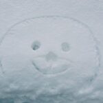 Rin Takanashi Instagram - 雪国での待ち時間の過ごし方 #コトコト