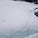 Rin Takanashi Instagram - 雪国での待ち時間の過ごし方 #コトコト