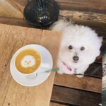 Rin Takanashi Instagram - ぱんちゃんは、今日も、げんき( ◠‿◠ )
