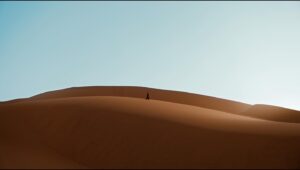Rina Yang Instagram - for Armani w/ @sydney_sweeney 
dir @jonas_lindstroem 
@iconoclast.tv 
w/ @sachanaceri @sidneybaucheron @yoo__yoo and Olivier   lovely local crew 🇲🇦🌞