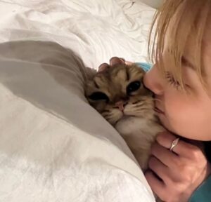 Riria Kojima Instagram - 色々まず行動〜をしてみて
初めての一歩をたくさん踏んで

総じて豊かで、
大切なものも増え、
今も幸せ〜🍊⏳

そういう時間を抱きしめて
あっためていこう。そう思います。

たのしかったよ2023。
ありがとうございました。

良いお年を。

.
※金髪はちょい前、
これでL.Aにひとり飛びました✈️
またちゃんと載せるね
最高だったよーーー

#あもとお揃い👩🏼🫰🏻