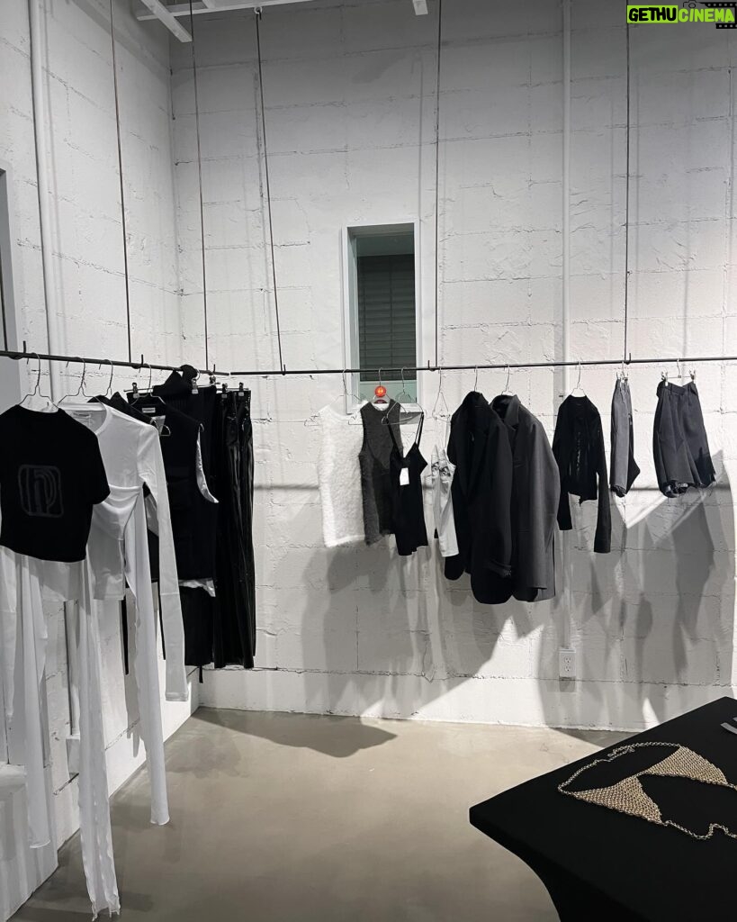Risa Nakamura Instagram - 展示会&POP UPの日🖤 @haengnae_official ではシルエットが綺麗すぎるドレスをオーダーしました。丈は短くなるらしいから普段使いできそう🐈‍⬛ @dichhenderson では着ているグレーのジャケットと、Tシャツを買いました✌︎ コレクションのシーズン、目が幸せ〜💭🪽