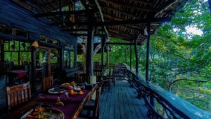 Rishina Kandhari Instagram - Thanks @pugdundeesafaris ‘s @kenriverlodge for giving me a unique and immersive experience in the heart of nature, comfortable earthy cottages , great food with the Ken River flowing nearby and experienced naturalists to show & explain about the abundant wildlife in the region on #safari 

#luxuryamidstnature #safarilovers #kenriverlodge #panna #mptourism #luxurylifestyle #retreat #pugdundeesafaris