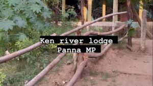 Rishina Kandhari Instagram - Thanks @pugdundeesafaris ‘s @kenriverlodge for giving me a unique and immersive experience in the heart of nature, comfortable earthy cottages , great food with the Ken River flowing nearby and experienced naturalists to show & explain about the abundant wildlife in the region on #safari 

#luxuryamidstnature #safarilovers #kenriverlodge #panna #mptourism #luxurylifestyle #retreat #pugdundeesafaris
