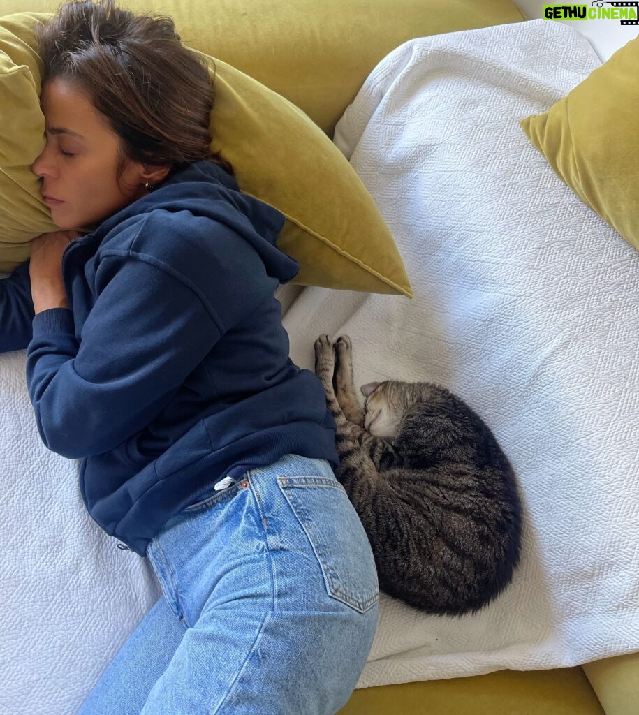 Rita Ferro Rodrigues Instagram - Há 17 anos colado a mim ❤️ O meu velhinho é um grande amigo. Matias 🐱 #gatovelho #gato #gatosdoinstagram