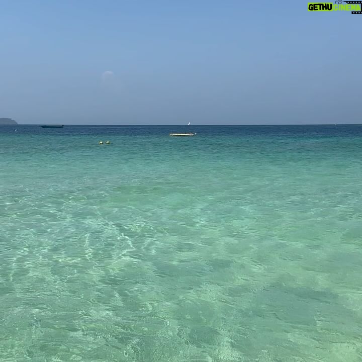 Rita Ferro Rodrigues Instagram - Dia 10🌴🦀 As ilhas Phi Phi😍 É que nos ia dando uma coisinha, logo à chegada ao @saii.phiphiislandvillage ( só se chega de barco !) com as tonalidades da água azul escuro, azul céu , verde esmeralda, um caleidoscópio de cores e peixes à volta do barco e nós mais uma vez de boca aberta. Andamos por este país de boca aberta com tanta e absurda beleza. O dia foi todo sem fazer nenhum - ainda não tinha acontecido nestas férias, o prazer de nada fazer. Mergulhos, abraços , beijinhos salgados, ataques de riso, festinhas nas costas, sestas, confidências e tudo repetido mais uma vez e outra e outra até o Sol se encostar à montanha , preguiçoso, e a noite cair serena embalada pela concerto de cigarras ( tão afinadas, iniciaram a sinfonia todas ao mesmo tempo 🎶( ver stories) Amanhã vamos fazer snorkeling e vamos a Maya Bay . Vamos também visitar a ilha dos macacos 🐒 mas eu hoje já estive a fazer macacadas o dia todo, em estágio 🙈 Melhor do que o som das ondas a rebentarem indolentes na praia, melhor que o concerto da cigarras, melhor do que as sinfonias matinais da passarada multicolor, as gargalhadas dos meus filhos são a minha banda sonora preferida. Últimos dias desta viagem maravilhosa por uma Tailândia que cura e cicatriza (porque nos embala em amor e esperança, numa ternura sem esforço que vem da terra, do mar, das estrelas e dos corações bonitos deste povo tão gentil ) Até amanhã ✨ #SAii #SAiiscapes #saiiPhiphiIslandVillage #bestravel #bestravelviagens