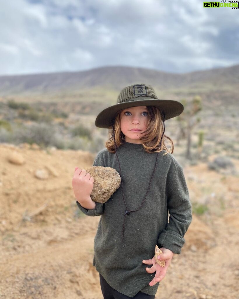 Robin Tunney Instagram - Oscar finds rocks ridiculously captivating. Picture by Nicky.