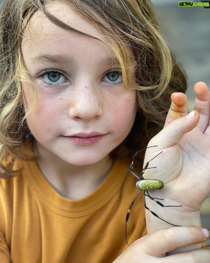 Robin Tunney Instagram - Spider heaven here.