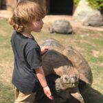 Robin Tunney Instagram - @msmichelehicks called in some favors and treated Oscar to one of the greatest days of his life. Thank you @turtleconservancy it was magical.