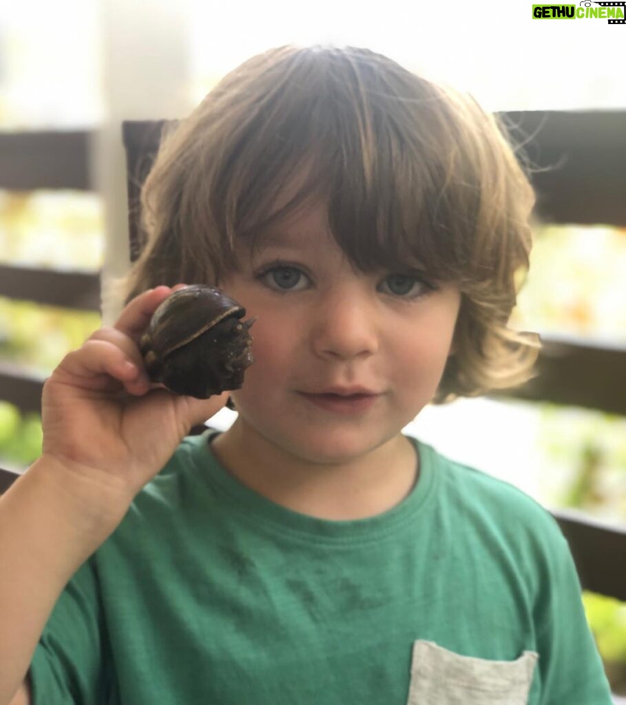 Robin Tunney Instagram - #snailsofinstagram Oscar is finding the biggest ones ever here!!!