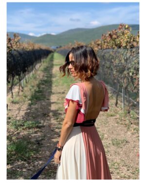 Rocío Verdejo Instagram - El día que se casan #piaydarian el día que quise comprar hectáreas de viñedo y el día que estreno mi @hualingerie