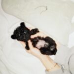 Roh Ji-sun Instagram - 올해도 거의 다 갔어~