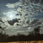 Romina Power Instagram -