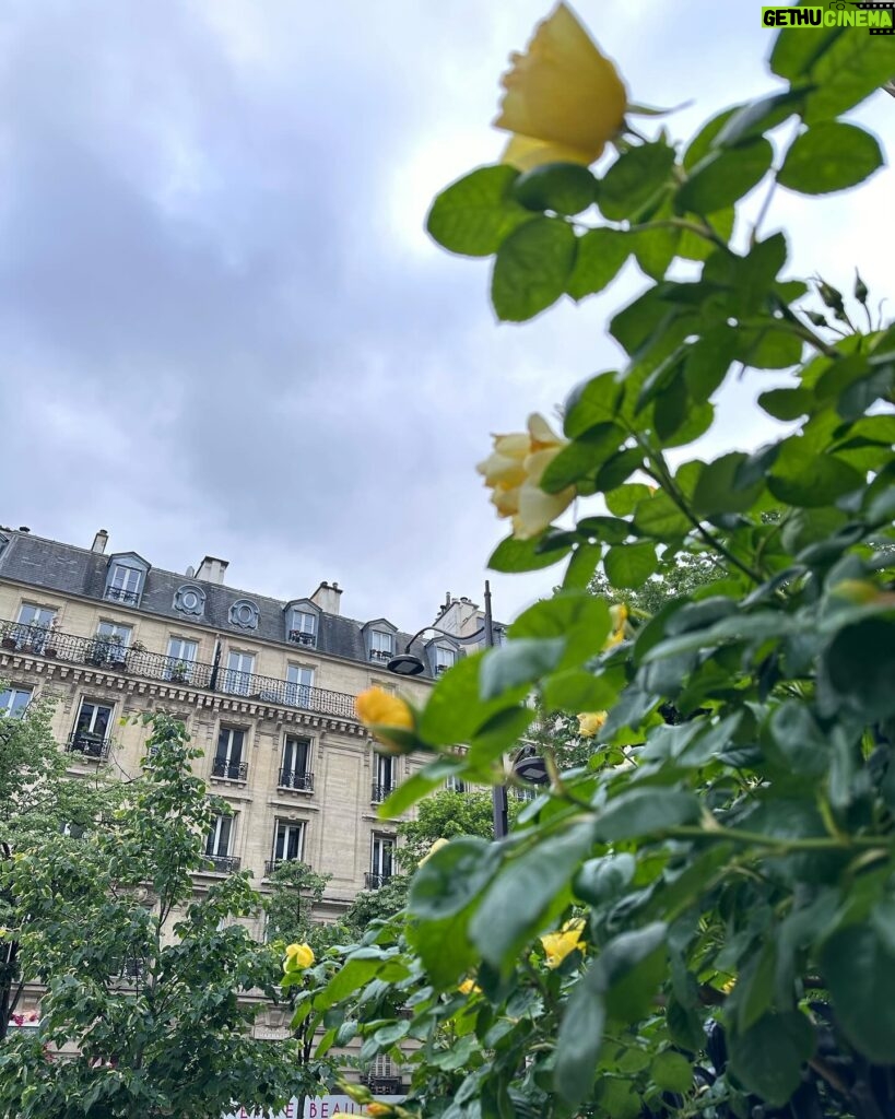 Rosa Linn Instagram - beautiful Paris 🤍