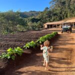 Rosanne Mulholland Instagram - A felicidade que vem da terra. Sempre quis levar o Davi em uma grande plantação orgânica, pra que ele tivesse esse contato com o alimento fresco, compreendesse o processo de plantar e colher, visse as folhas mais bonitas, mais cheirosas... Mas nunca imaginei que seria tão legal! Ele ficou eufórico, interessado, curioso, luminoso. Queria experimentar tudo, saber tudo, mexer em tudo. Agradeço de coração à equipe do @ibitiprojeto pela atenção e carinho com meu filho. Foi uma experiência marcante e muito feliz. O melhor lugar pra uma criança é sempre a natureza! @ibitiprojeto @valentinaseabra