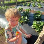 Rosanne Mulholland Instagram - A felicidade que vem da terra. Sempre quis levar o Davi em uma grande plantação orgânica, pra que ele tivesse esse contato com o alimento fresco, compreendesse o processo de plantar e colher, visse as folhas mais bonitas, mais cheirosas... Mas nunca imaginei que seria tão legal! Ele ficou eufórico, interessado, curioso, luminoso. Queria experimentar tudo, saber tudo, mexer em tudo. Agradeço de coração à equipe do @ibitiprojeto pela atenção e carinho com meu filho. Foi uma experiência marcante e muito feliz. O melhor lugar pra uma criança é sempre a natureza! @ibitiprojeto @valentinaseabra