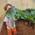Rosanne Mulholland Instagram - A felicidade que vem da terra. Sempre quis levar o Davi em uma grande plantação orgânica, pra que ele tivesse esse contato com o alimento fresco, compreendesse o processo de plantar e colher, visse as folhas mais bonitas, mais cheirosas... Mas nunca imaginei que seria tão legal! Ele ficou eufórico, interessado, curioso, luminoso. Queria experimentar tudo, saber tudo, mexer em tudo. Agradeço de coração à equipe do @ibitiprojeto pela atenção e carinho com meu filho. Foi uma experiência marcante e muito feliz. O melhor lugar pra uma criança é sempre a natureza! @ibitiprojeto @valentinaseabra