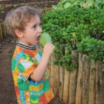 Rosanne Mulholland Instagram - A felicidade que vem da terra. Sempre quis levar o Davi em uma grande plantação orgânica, pra que ele tivesse esse contato com o alimento fresco, compreendesse o processo de plantar e colher, visse as folhas mais bonitas, mais cheirosas... Mas nunca imaginei que seria tão legal! Ele ficou eufórico, interessado, curioso, luminoso. Queria experimentar tudo, saber tudo, mexer em tudo. Agradeço de coração à equipe do @ibitiprojeto pela atenção e carinho com meu filho. Foi uma experiência marcante e muito feliz. O melhor lugar pra uma criança é sempre a natureza! @ibitiprojeto @valentinaseabra