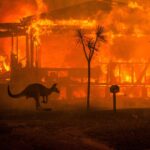 Rose Byrne Instagram - my beautiful home of Australia is suffering thru their worst wildfire season in recorded history. 19 people have died, half a billion animals , 14.5 million acres of land. My heart is breaking 💔 please, if you have the means, donate to one these incredible organizations to help 🙏🏼 @nswrfs @redcrossau @cfavic @salvosau @wireswildliferescue @1300koala