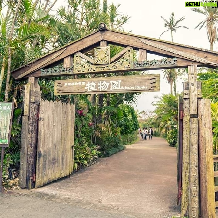 Rose Yu Instagram - 【像日本人遊沖繩，發現不一樣的沖繩🎉】日本沖繩市的自然景點東南植物樂園是個不少自由行遊客都會安排來的地方， 遼闊的園林內搜羅了多種熱帶與亞熱帶植物，還有超浪漫的「🌴亞歷山大椰樹街🌴」，跟另一半一起漫步💏欣賞多棵椰樹並排成的壯觀椰林一定超有氣氛；還可在「友好動物廣場」（なかよしチャンプルー広場） 觀察可愛的水豚🐖、松鼠猴🐒與山羊🐑等動物，盡情體驗充滿南國風情的自然景觀！我們刺傍晚來到這邊，也幸運遇到 🌌illumination 燈光秀活動，感覺很棒💖。逛完這邊再回市區走走吃晚餐宵夜是個不錯的安排方式喲！#KKday #Beokinawa #visitokinawa 🎊kkday【沖繩特色景點】東南植物樂園門票 ：https://partner.kkday.me/ciaociao/22066 @kkdaytw @southeast.botanical