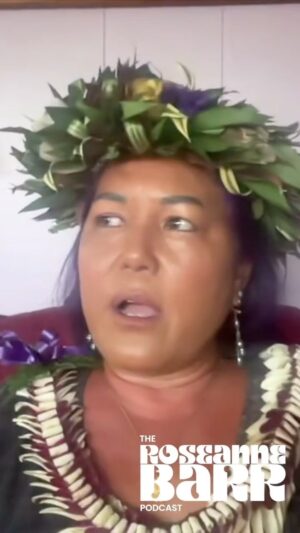 Roseanne Barr Instagram - Democrat representative from Hawaii- Elle Cochran shares the same concerns we all had.