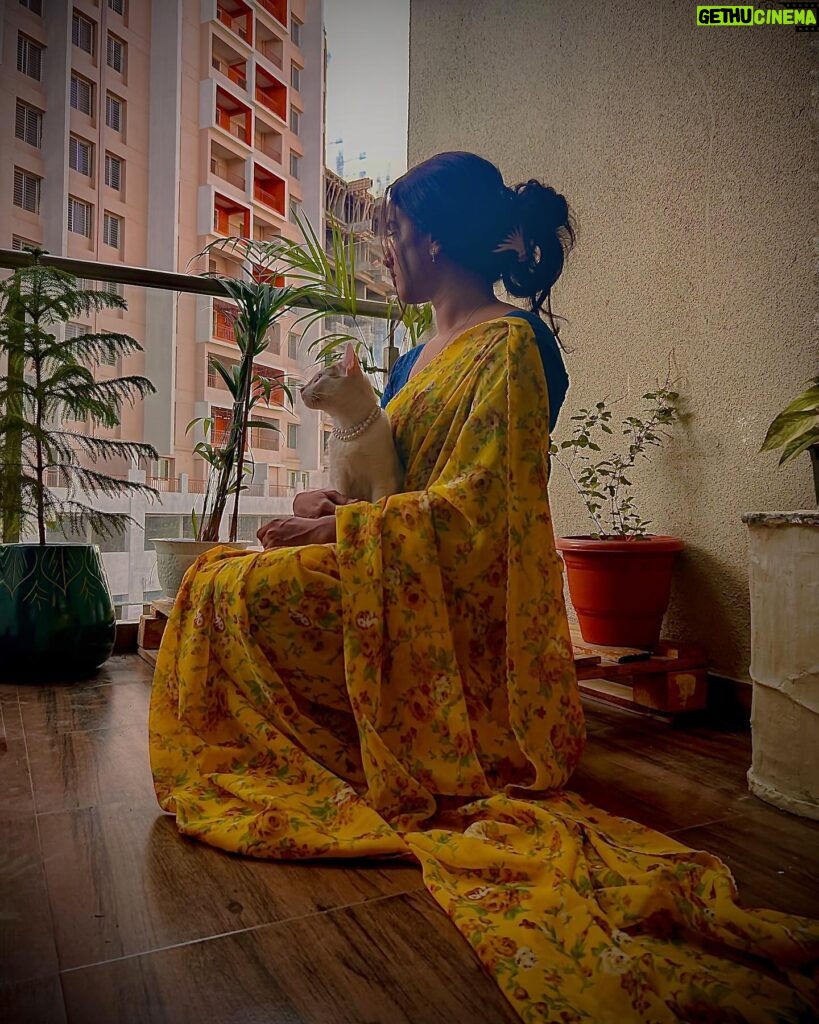Rupali Wakode Instagram - Saree love❤️💛 #mobilephotography #sareelove #selfportrait #mobileclick #rupaliwakode #photoshoot #athome