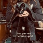 Sónia Tavares Instagram - Manhãs gloriosas✨