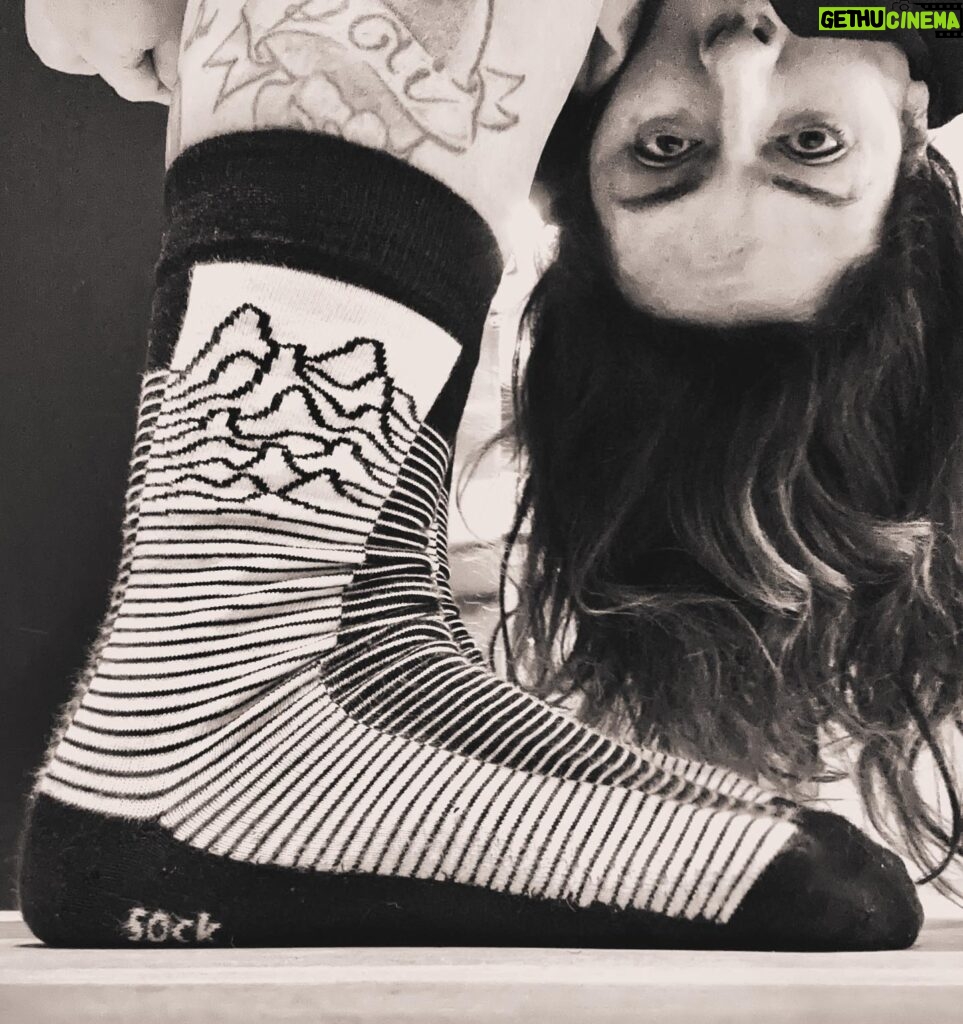 Sónia Tavares Instagram - There’s no country for pessoas que usam meias dos Joy Division Boa semana a todos, menos aos que não votaram no Manel🤗
