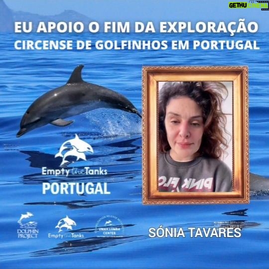 Sónia Tavares Instagram - @soniatavaresofficial também apoia o fim da exploração circense de golfinhos em Portugal. E é a favor da reabilitação de golfinhos em Santuário na natureza onde podem finalmente sentir os ritmos das marés e das ondas e ter muitos estímulos naturais da biodiversidade marinha de baixo de água. A reabilitação em um Santuário na natureza é a solução mais ética onde podem viver com dignidade, sem exploração circense, sem música alta, sem interações forçadas, sem paredes de cimento pintadas de azul num ambiente estéril sem qualquer estímulo natural da biodiversidade marinha, sem habilidades circenses aprendidas e treinadas diariamente com base na privação de alimentos para entreter turistas mal informados. Só num Santuário na natureza podem expressar a sua verdadeira natureza que lhes foi roubada. A forma como tratamos o ser mais inteligente dos Oceanos, com um cérebro de grandes dimensões e mais complexo do que o do ser humano revela muito sobre nós como indivíduos e como nação. Está na hora de devolver a dignidade aos 35 golfinhos vítimas de exploração circense em Portugal. A reabilitação em Santuário na natureza é uma realidade testada onde vão continuar a ter os mesmos cuidados médico veterinários de sempre com os mesmos tratadores de sempre mas sem circo, com apenas comportamentos naturais típicos da espécie na natureza onde evoluíram durante milhões de anos. A união faz a força! Seguimos juntos e cada vez mais fortes por um mundo melhor para todos os animais humanos e não humanos! PARTILHEM! 💪🏼📢🐬🌊🌏 #saynotothedolphinshow #DontBuyATicket #thanksbutnotanks #enddolphinariums #zoomarinealgarve #jardimzoologicodelisboa #captivitykills #emptythetanksportugal #animalsrights #emptythetanksworldwide #dolphin_project #dolphinrehabilitation #umahlumbacenter #LetsProtectDolphinsTogether #KeepThemWild #WildAndFree