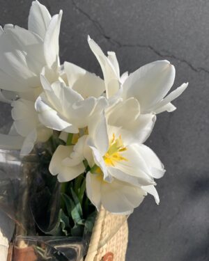 Sadie Calvano Instagram - bringing home the most beautiful tulips from the farmers market 🤎
