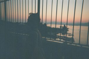 Sage Linder Instagram - summer 21’ film dump 🦶🏽🦶🏽🦶🏽🦶🏽🦶🏽🦶🏽