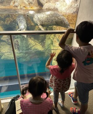 Saki Aibu Instagram - いつも忘れる写真をあげてみる。
昨日まで赤ちゃんだったはずなのに！！先日息子が6歳になりました✨健康にスクスク育ってくれたことと、いつも支えてくれるみんなに感謝の日！！！