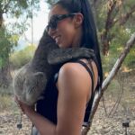 Samantha De Martin Instagram - When you come home, you have to cuddle a koala! 🐨🥹🇦🇺 #WWEChamber #WWEAustralia @westozwildlife