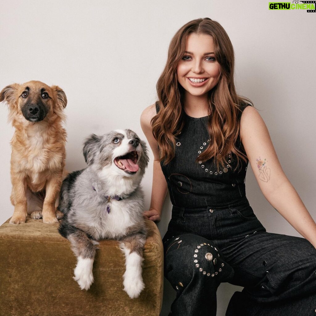 Samantha Hanratty Instagram - WILDEST 🐾 Link in bio♥️ thank you @thewildest for such an amazing time! Photos: @felisha.tolentino Story: @karipaul__ @bigloveanimalrescue @adambreuchaud @richardnormangrant @katiebof