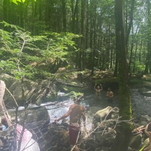 Samia Finnerty Instagram - i wrote a lot of songs last year