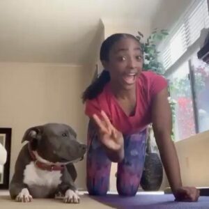 Sanai Victoria Instagram - hiiiii, what is everyone doing today❓🥰
.
.
#plankchallenge #quarantine #quarentinelife #tiktok #tiktoktrending #tiktokchallenge #tiktokviral #explore #explorepage #stayhomechallenge #stayhome #fitnesschallenge #viral #viralvideos #pitbulladvocate #pitbullsofinstagram
#sashafierce #sendingloveandlight #sanaivictoria 💪🏽 🐶 🐾 ❤️💋