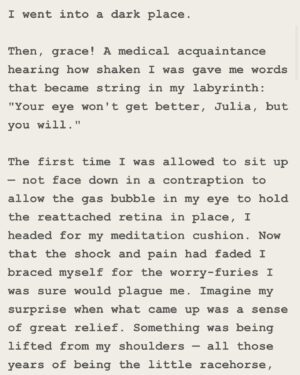 Sandra Cisneros Instagram - Love this piece from @writerjalvarez via @literaryhub in which she talks about losing her sight but not her vision ❤️ Gracias, Julia, for your words!